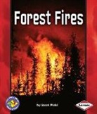 Janet Piehl - Forest Fires