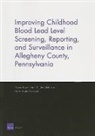 Ray Firth, Donna Keyser, Amy Richardson, Maria Zeglen Townsend - Improving Childhood Blood Lead Level Screening, Reporting, and Surveillance in Allegheny County, Pennsylvania