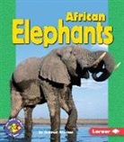Shannon Knudsen - African Elephants