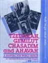 Joel Lurie Grishaver, Behrman House - Tzedakah, Gemilut Chasadim and Ahavah - Leader's Guide