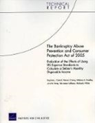 Melissa A. Bradley, Stephen J. Carroll, Noreen Clancy - The Bankruptcy Abuse Prevention and Consumer Protection Act of 2005