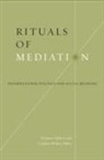 Francois Debrix, Francois Debrix, Weber, Cynthia Weber - Rituals of Mediation