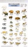 Craig MacGowan - Mac's Field Guides: North American Land Mammals
