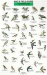 Craig MacGowan - Mac's Field Guides: Northeast Park & Backyard Birds
