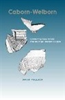 David Pollack - Caborn-Welborn