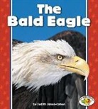 Judith Jango-Cohen - The Bald Eagle