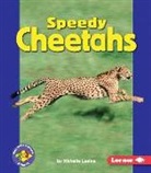 Michelle Levine - Speedy Cheetahs