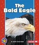 Judith Jango-Cohen - The Bald Eagle