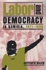 Gretchen Bauer - Labor and Democracy in Namibia, 1971–1996
