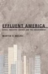 Martin Melosi, Martin V Melosi, Martin V. Melosi - Effluent America