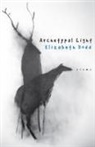Elizabeth Dodd - Archetypal Light