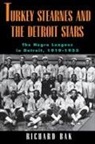 Richard Bak - rkey Stearnes and the Detroit Stars