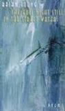 Brian Young - The Full Night Still in the Street Water
