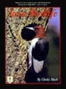 Gladys Black, Nature Conservancy (U S ) - Iowa Birdlife
