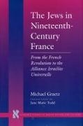 Michael Graetz, Graetz Michael - The Jews in Nineteenth-Century France - From the French Revolution to the Alliance Israélite Universelle