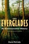 David McCally - The Everglades