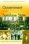 David R Colburn, David R. Colburn, Lance Dehaven-Smith - Government in the Sunshine State