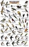 Craig MacGowan - Mac's Field Guides: Southwest Park/Garden Birds