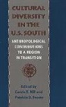 Patricia Beaver, Patricia D Beaver, Patricia D. Beaver, Patricia Duane Beaver, Carole Hill, Carole E Hill... - Cultural Diversity in the U.S. South