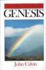 John Calvin - Genesis