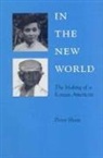 Peter Hyun - In the New World