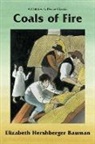 Elizabeth Bauman, Allan Eitzen - Coals of Fire (Revised)