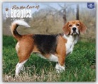 Beagles - For the Love of 2017 - 18-Monatskalender mit freier DogDays-App