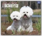 Bichon Frise - For the Love of 2017 - 18-Monatskalender mit freier DogDays-App