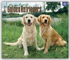 Not Available (NA) - Golden Retrievers, for the Love of 2017 Calendar