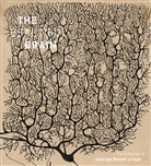 Alfonso Araque, Javier Defelipe, Janet M. Dubinsky, Eric Newman, Newman Eric, Larry Swanson... - The Beautiful Brain