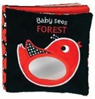 Rettore, Francesca Ferri Rettore, Rettore (COR), Francesca Ferri - Forest