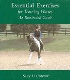 Sally OConnor, Sally O'Connor - Essential Exercises: For Training Horses