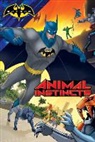 Steven Kortae, Style Guide, Steve Korte - Animal Instincts