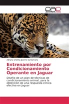 Adriana Cristina Jácome Santamaria - Entrenamiento por Condicionamiento Operante en Jaguar
