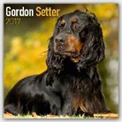 Avonside Publishing Ltd. - Gordon Setter Calendar 2017