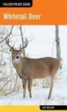 Jack Ballard - Whitetail Deer