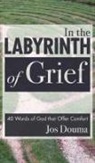 Jos Douma - In the Labyrinth of Grief