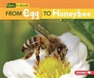Lisa Owings - From Egg to Honeybee