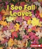 Mari Schuh, Mari C Schuh, Mari C. Schuh - I See Fall Leaves