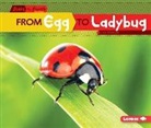 Lisa Owings - From Egg to Ladybug