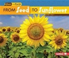 Mari Schuh, Mari C Schuh, Mari C. Schuh - From Seed to Sunflower