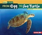 Lisa Owings - From Egg to Sea Turtle