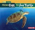 Lisa Owings - From Egg to Sea Turtle