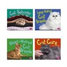 Christina Mia Gardeski - Cats, Cats, Cats