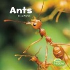 Lisa J Amstutz, Lisa J. Amstutz - Ants