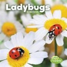 Lisa J Amstutz, Lisa J. Amstutz - Ladybugs
