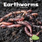 Lisa Amstutz, Lisa J Amstutz, Lisa J. Amstutz - Earthworms