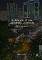 Dana Collins - Rise and Fall of an Urban Sexual Community