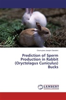 Olumuyiwa Joseph Olarotimi - Prediction of Sperm Production in Rabbit (Oryctolagus Cuniculus) Bucks