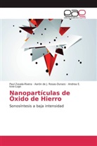 Icea-, Andrea E. Icea-Lugo, Aarón de Rosas-Durazo, Aarón de J Rosas-Durazo, Aarón de J. Rosas-Durazo, Pau Zavala-Rivera... - Nanopartículas de Óxido de Hierro